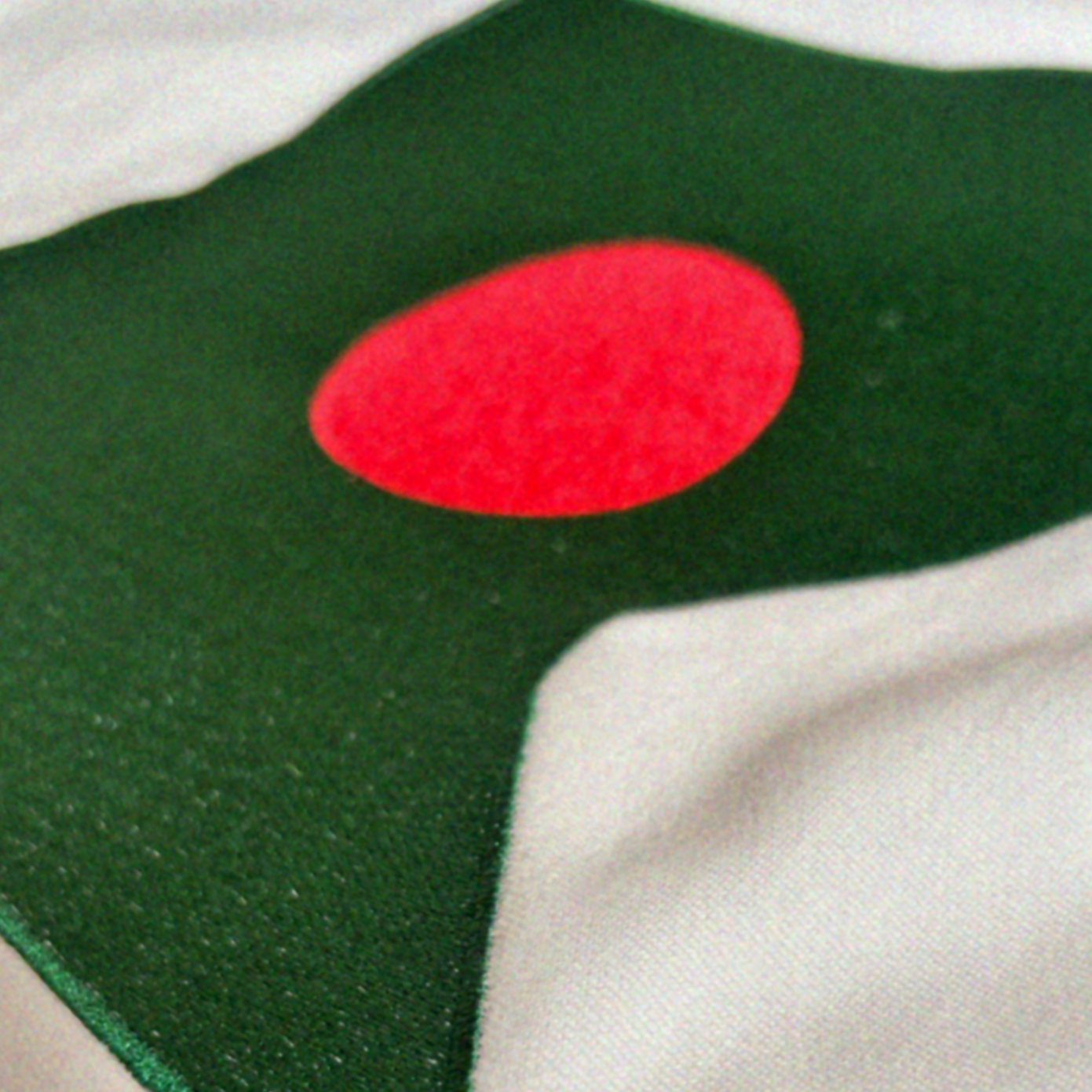 Close up of the green and red Bangladesh embroidered flag on luxury off-white hoodie